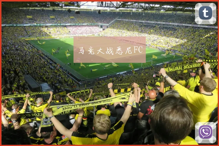 马竞大战悉尼FC