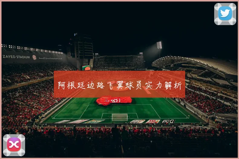 阿根廷边路飞翼球员实力解析