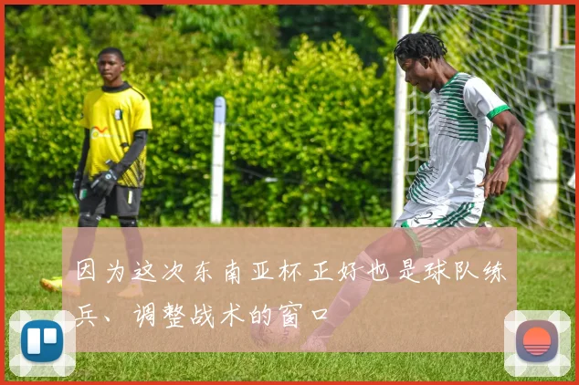 因为这次东南亚杯正好也是球队练兵、调整战术的窗口