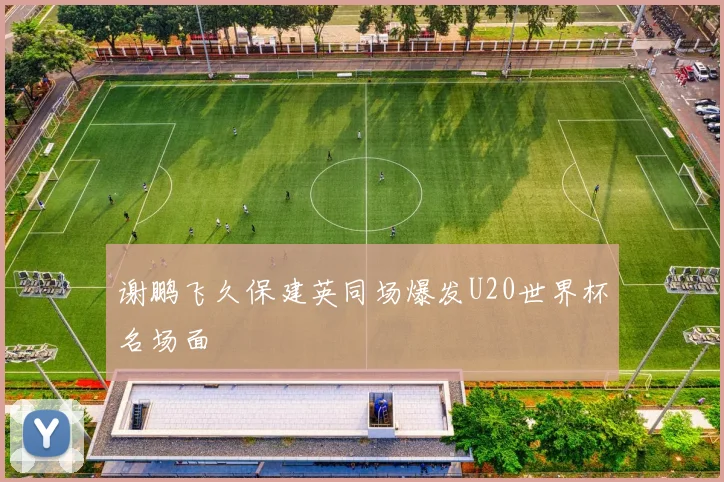 谢鹏飞久保建英同场爆发U20世界杯名场面