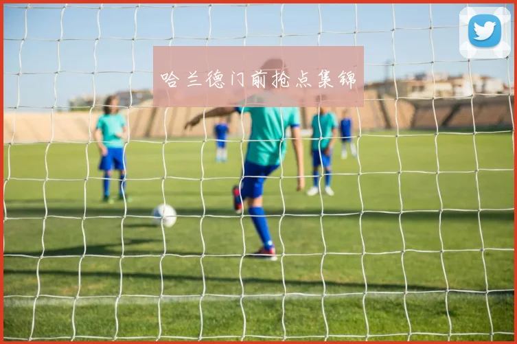 哈兰德门前抢点集锦