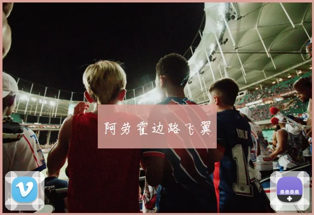 阿劳霍边路飞翼