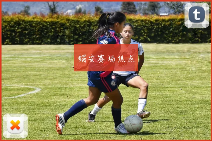 锡安赛场焦点