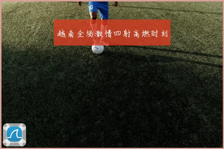 越南全场激情四射高燃时刻