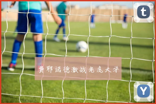 费耶诺德激战老虎大学