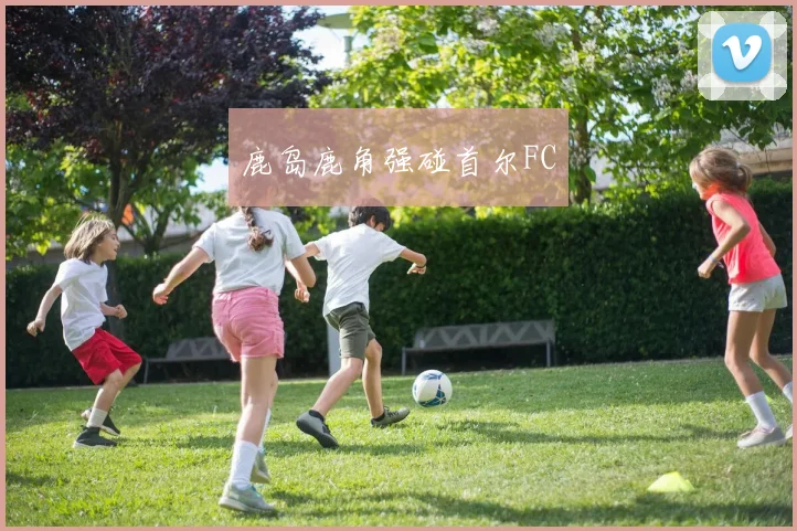 鹿岛鹿角强碰首尔FC