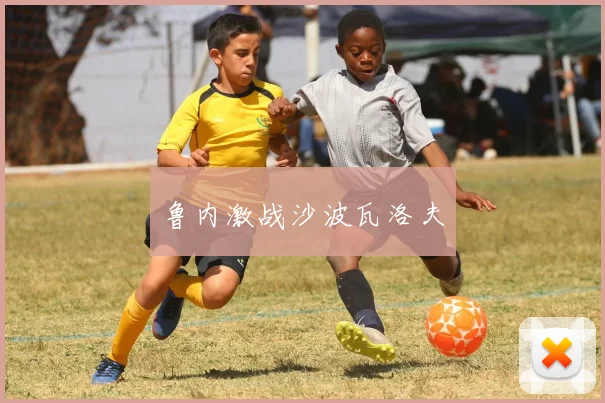 鲁内激战沙波瓦洛夫