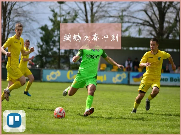 鹈鹕决赛冲刺