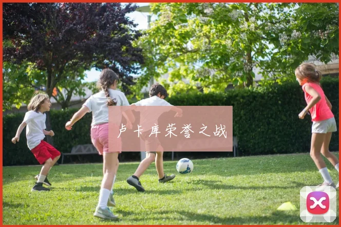 卢卡库荣誉之战