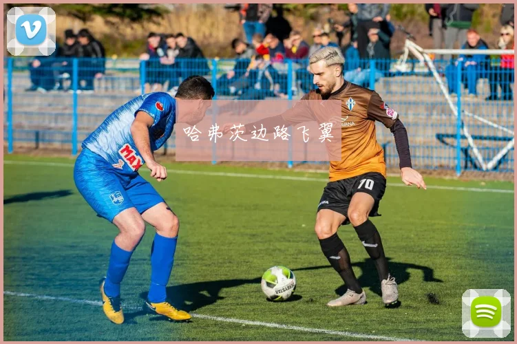 哈弗茨边路飞翼