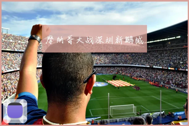 摩纳哥大战深圳新鹏城