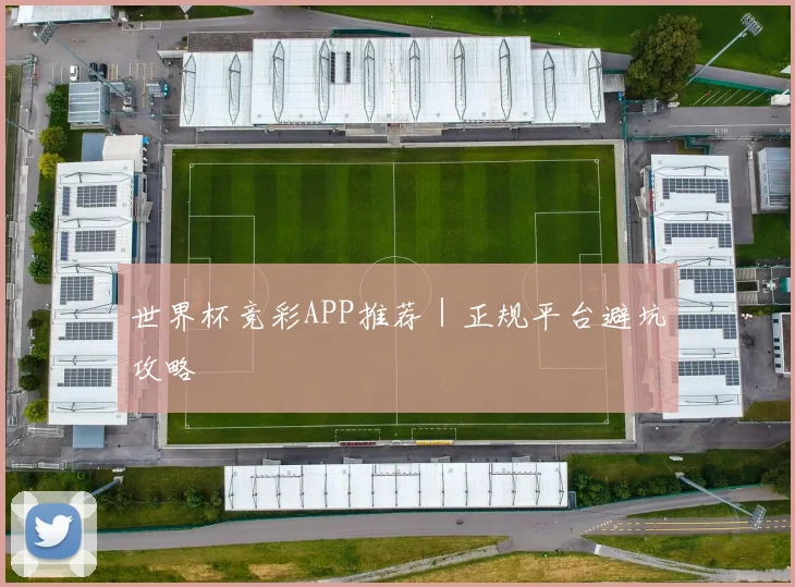 世界杯竞彩APP推荐｜正规平台避坑攻略