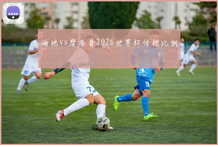 海地vs摩洛哥2026世界杯传控比例