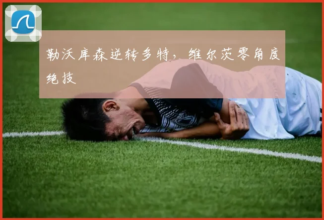勒沃库森逆转多特，维尔茨零角度绝技