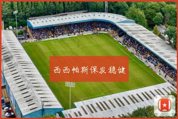 西西帕斯保发稳健