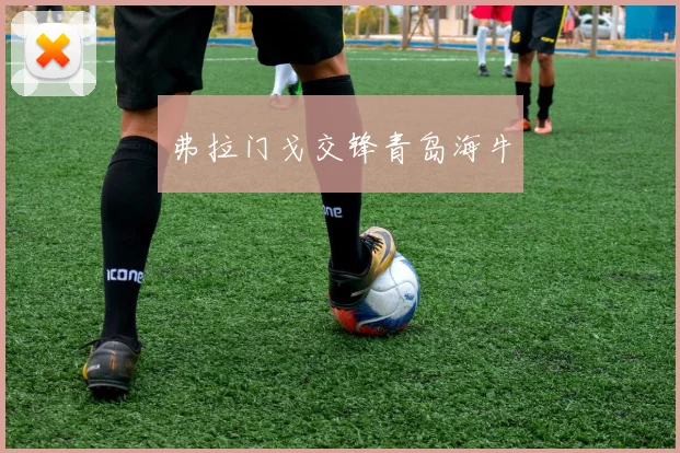 弗拉门戈交锋青岛海牛