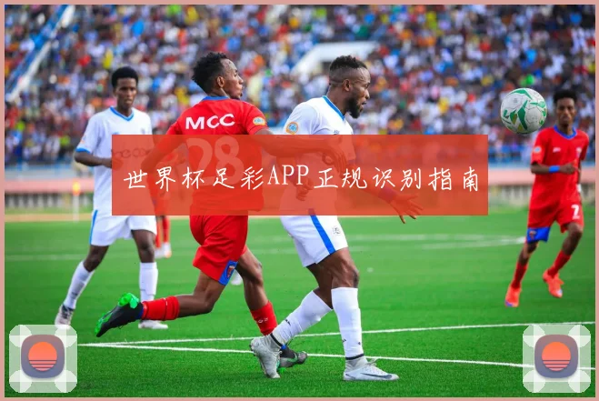 世界杯足彩APP正规识别指南