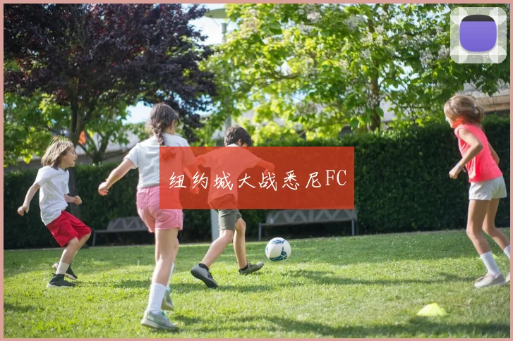 纽约城大战悉尼FC