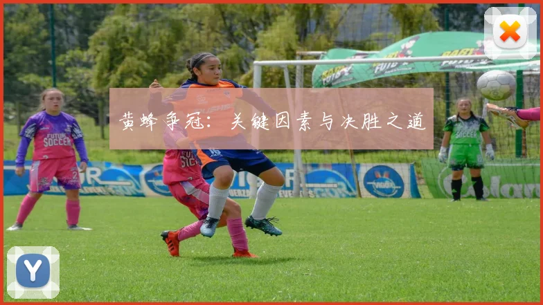 黄蜂争冠：关键因素与决胜之道