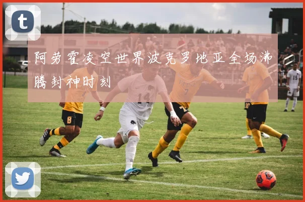 阿劳霍凌空世界波克罗地亚全场沸腾封神时刻
