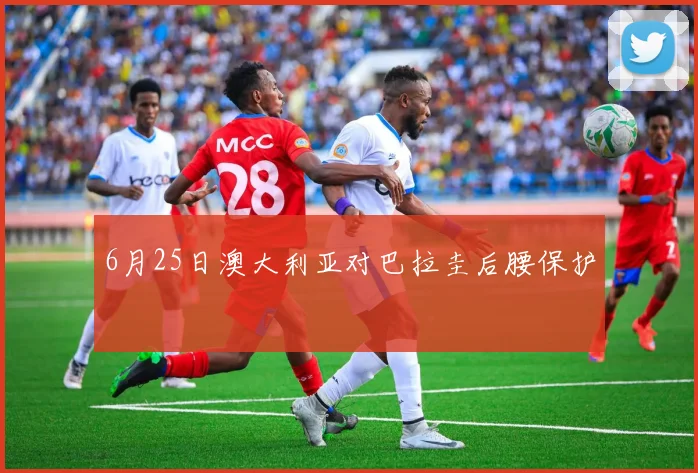 6月25日澳大利亚对巴拉圭后腰保护