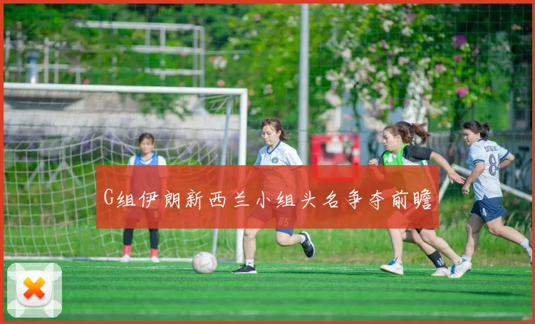 G组伊朗新西兰小组头名争夺前瞻