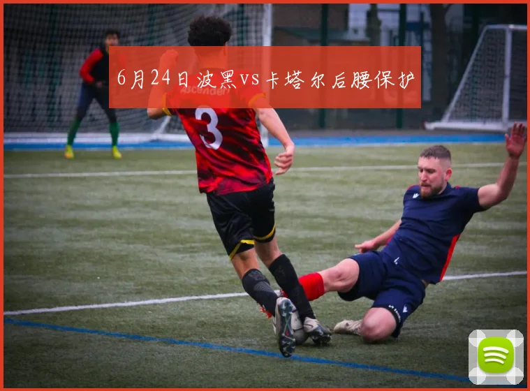 6月24日波黑vs卡塔尔后腰保护