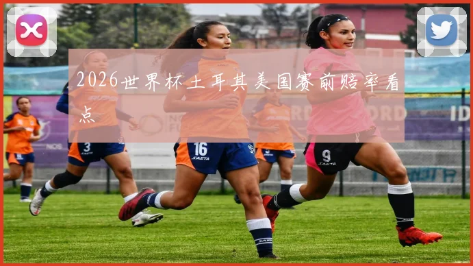 2026世界杯土耳其美国赛前赔率看点